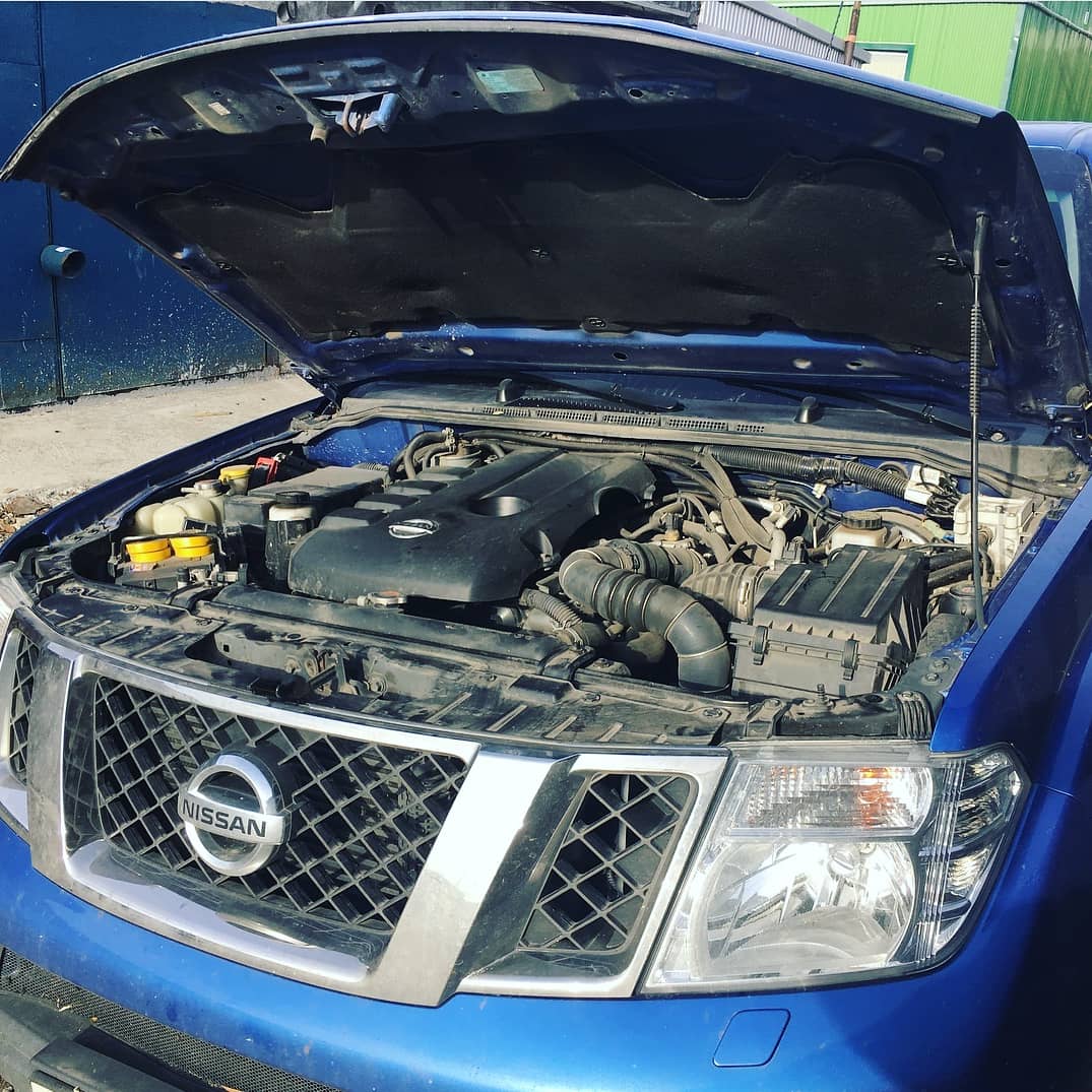 Nissan Navara — отключение EGR на Камчатке